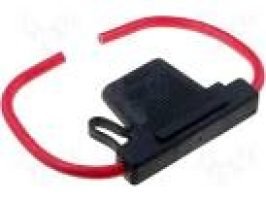 בית פיוז מקסי