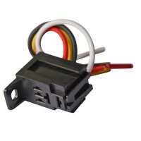 בית ריליי יפני