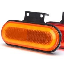 סימון ניאון