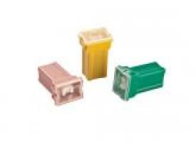 פיוז יפני נקבה מיני